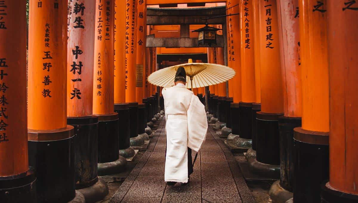 Japanese woman in kimono walking through torii gates