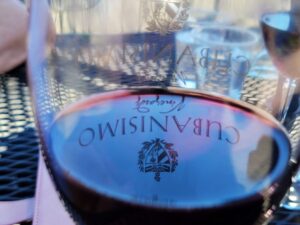 Cubanisimo Vineyards Glass of Pinot Noir