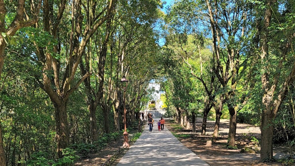 Sacro Bosco Park Italy - Park Pathway