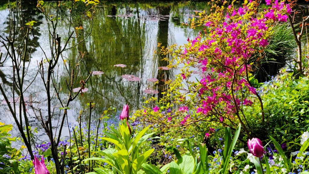Monet’s Giverny ~ Like Stepping into One of His Paintings! 11 Giverny Azaleas