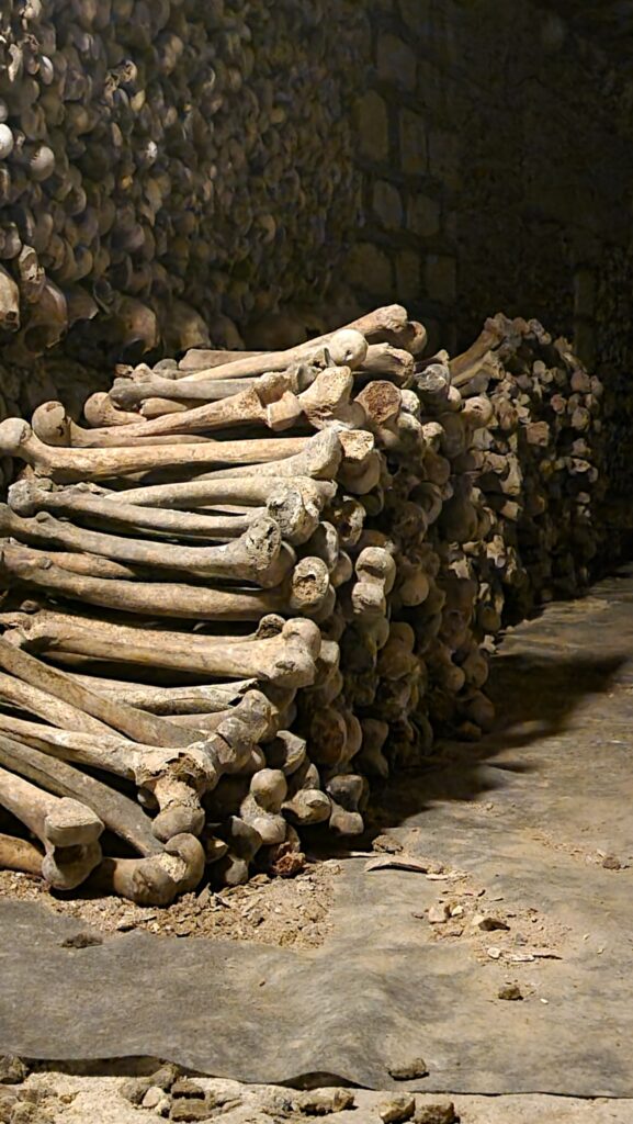 Paris Catacombs ~ Where Locals Are Dead Serious About History! 11 Paris Catacombs Femurs