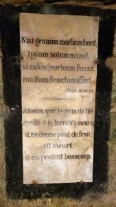 Paris Catacombs ~ Where Locals Are Dead Serious About History! 13 Paris Catacombs Wheat and Fruit